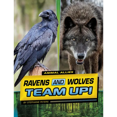 Ravens and Wolves Team Up!