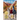 From the Back of a Donkey, Journey of a Lifetime - Second Edition: Second Edition