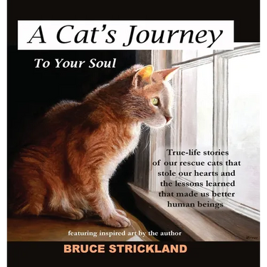 A Cat's Journey To Your Soul