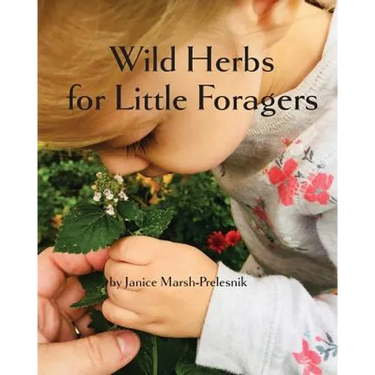 Wild Herbs for Little Foragers
