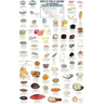 Mac's Field Guides: Northwest Coastal Invertebrates