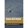Bronze Bird Review