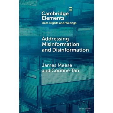 Addressing Misinformation and Disinformation