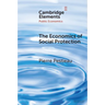 The Economics of Social Protection