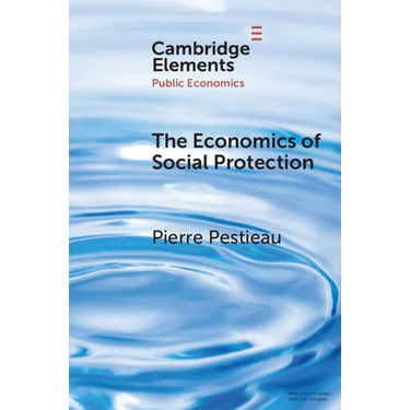 The Economics of Social Protection