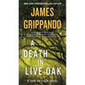 A Death in Live Oak: A Jack Swyteck Novel