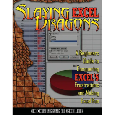 Slaying Excel Dragons: A Beginners Guide to Conquering Excel's Frustrations and Making Excel Fun