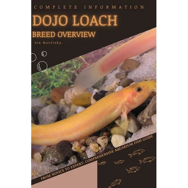 Dojo Loach: From Novice to Expert. Comprehensive Aquarium Fish Guide