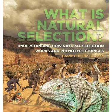 What is Natural Selection? Understanding How Natural Selection Works and Phenotype Changes Grade 6-8 Life Science