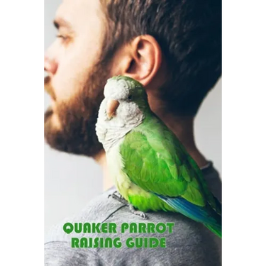 Quaker Parrot Raising Guide: Gift Ideas for Christmas