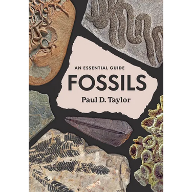 Fossils: An Essential Guide