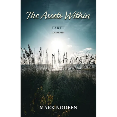 The Assets Within, Part I - Awareness