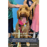 Teachers and Therapy Dog Teams: Innovative Collaborations to Make a Difference for Children