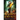 Shadow of the Sorceress