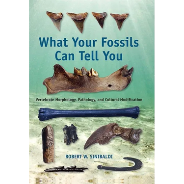 What Your Fossils Can Tell You: Vertebrate Morphology, Pathology, and Cultural Modification