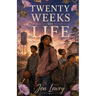 Twenty Weeks to Life: YA Christian Romance Novel