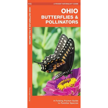 Ohio Butterflies & Pollinators: A Folding Pocket Guide to Familiar Species