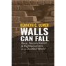 Walls Can Fall: Race, Reconciliation & Righteousness in a Divided World