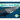 Southern Minke Whale