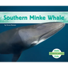 Southern Minke Whale