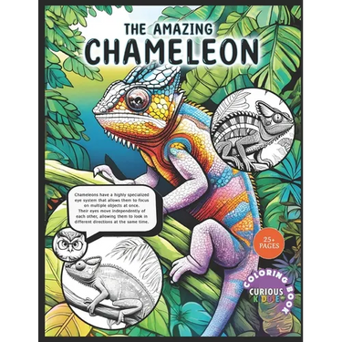 The Amazing Chameleon, Kids K-12 Wildlife Chameleon Coloring Book: Educational Coloring Book