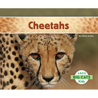 Cheetahs