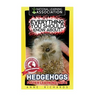 Everything You Should Know About: Hedgehogs
