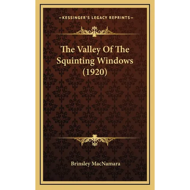 The Valley Of The Squinting Windows (1920)