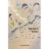 Broken Wing