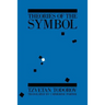 Theories of the Symbol: Understanding Politics in an Unfamiliar Culture