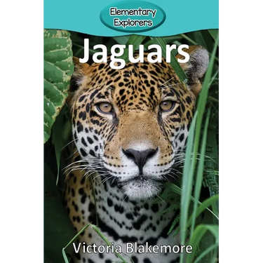 Jaguars