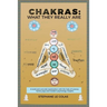 Chakras: What They Really Are: A Brief but Concrete Explanation with the Help of Science, Tantra Yoga and Modern Psychology Insights.