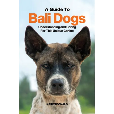 A Guide to Bali Dogs: Understanding and Caring For This Unique Canine