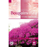 Bougainvillea: A Color Handbook