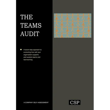 The Teams Audit