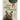 Four Fifths a Grizzly: A New Perspective on Nature That Just Might Save Us All