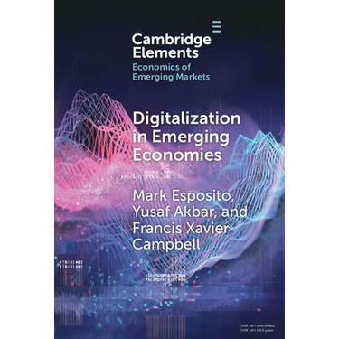 Digitalization in Emerging Economies