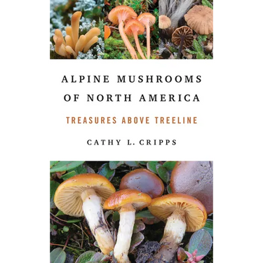 Alpine Mushrooms of North America: Treasures Above Treeline