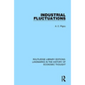 Industrial Fluctuations
