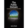 Public Domain: Enclosing the Commons of the Mind