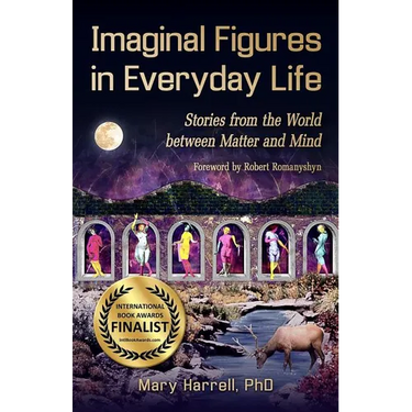Imaginal Figures In Everyday Life: Stories from The World Between Matter And Mind