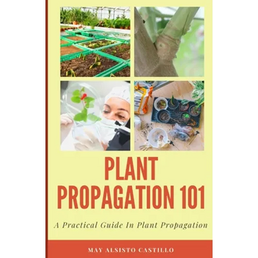 Plant Propagation 101: A Practical Guide In Plant Propagation