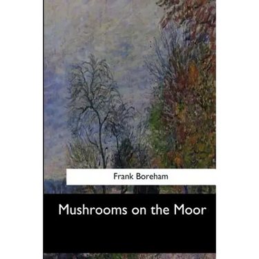 Mushrooms on the Moor