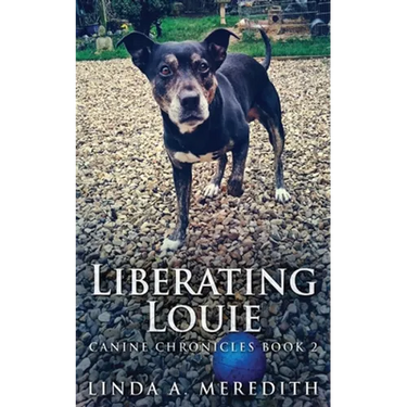 Liberating Louie: The Road To Rutland
