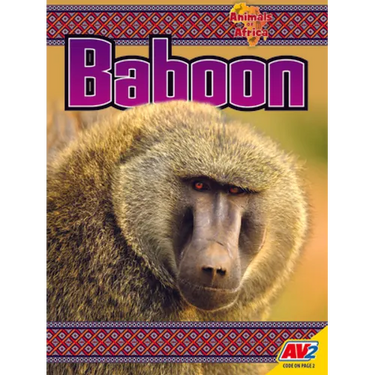 Baboon