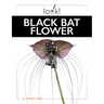 Black Bat Flower