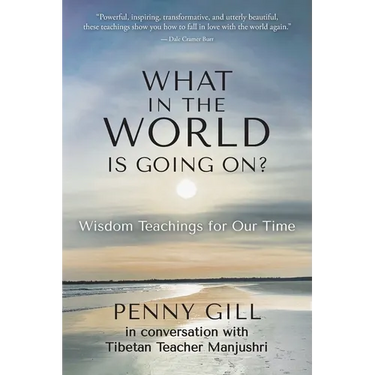What in the World is Going On?: Wisdom Teachings for Our Time