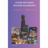 Cities Skylines Success Blueprint: A Beginner's Profitable Guide