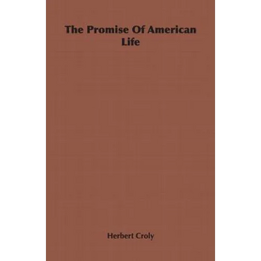 The Promise Of American Life