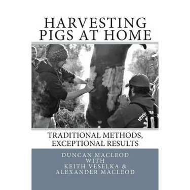 Harvesting Pigs at Home: Traditional Methods, Exceptional Results